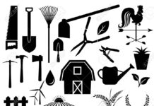 Korhogo : Du matériel agricole offert aux femmes