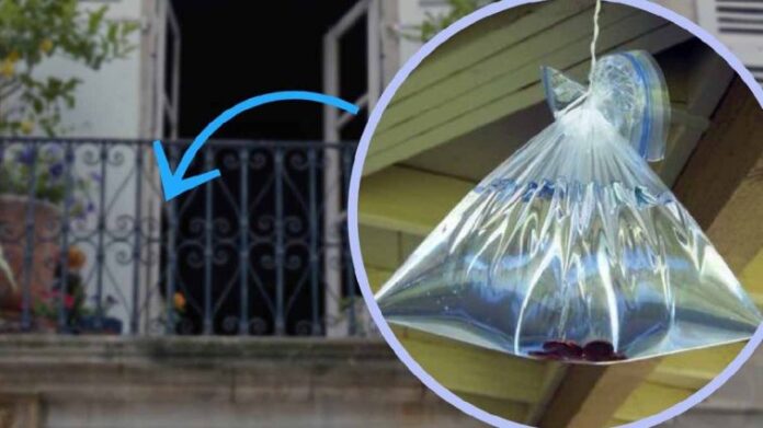des-sacs-avec-de-leau-et-des-pieces-sur-le-balcon-en-ete-tout-le-monde-le-fait-ca-resout-un-probleme-commun-758x426