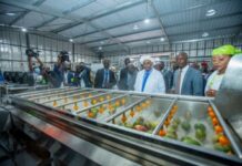 La Côte d’Ivoire se dote d’une usine de transformation de mangue à Sinématiali