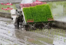 “S’il y a une mécanisation (…), d’ici 2025, la Côte d’Ivoire pourra être auto-suffisante en riz(directeur SOCOMCI)