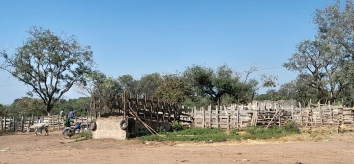 20221108_091619-920x425