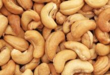 Le volume transformé de noix de cajou a progressé de près de 60 % à 218 000 tonnes en 2022